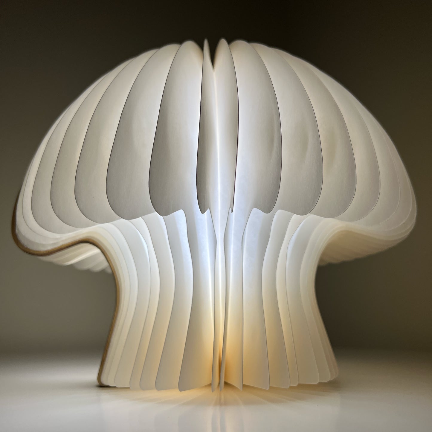 Handmade Foldable LED Book