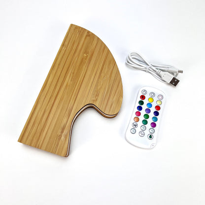 Handmade Foldable LED Book