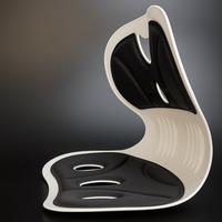 Active Lumbar Back Support Flexi™
