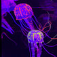 Hypnotic Jellyfish Aquarium