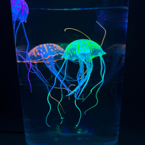Hypnotic Jellyfish Aquarium